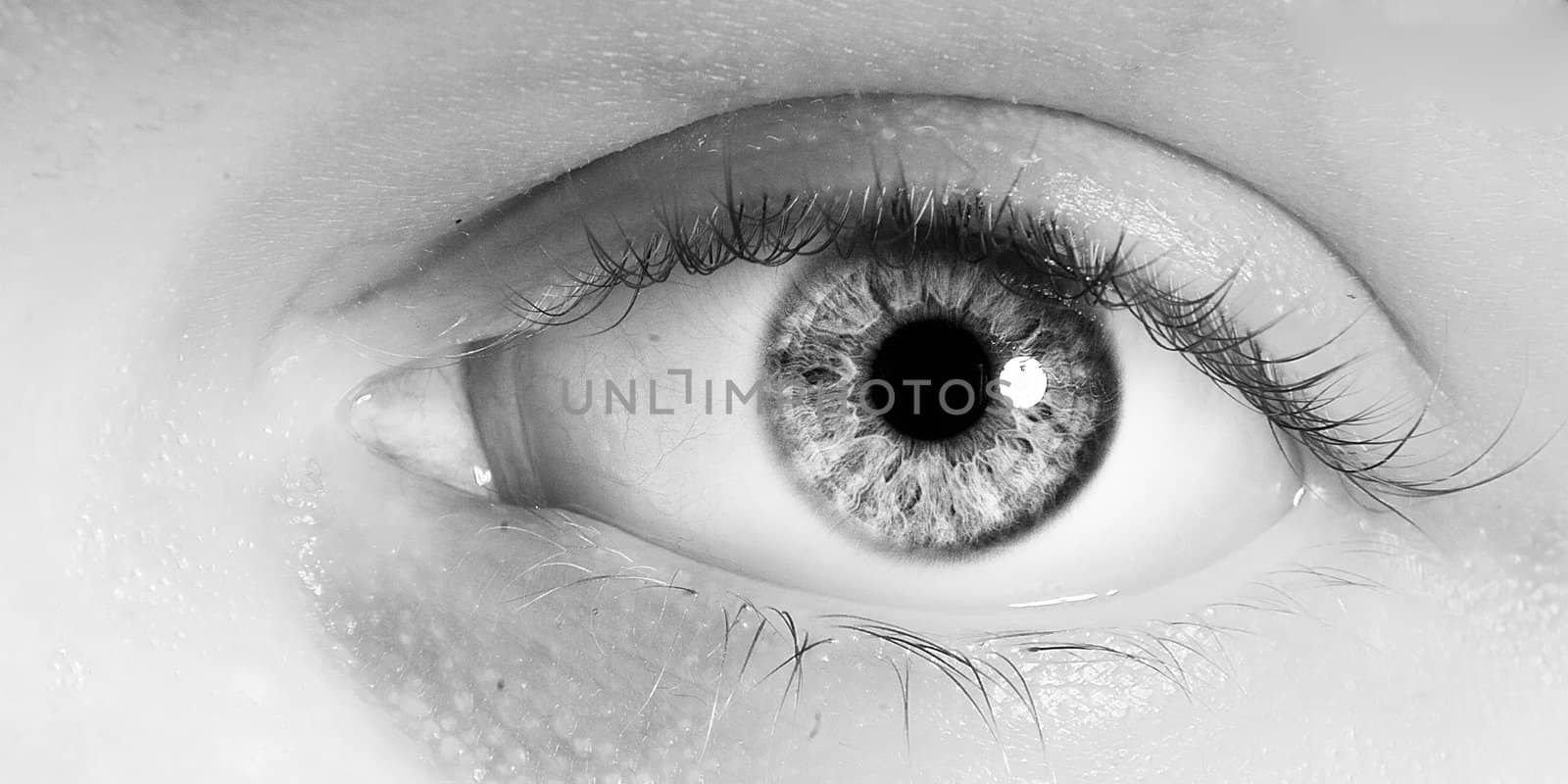 A black and white macro image of an eye.