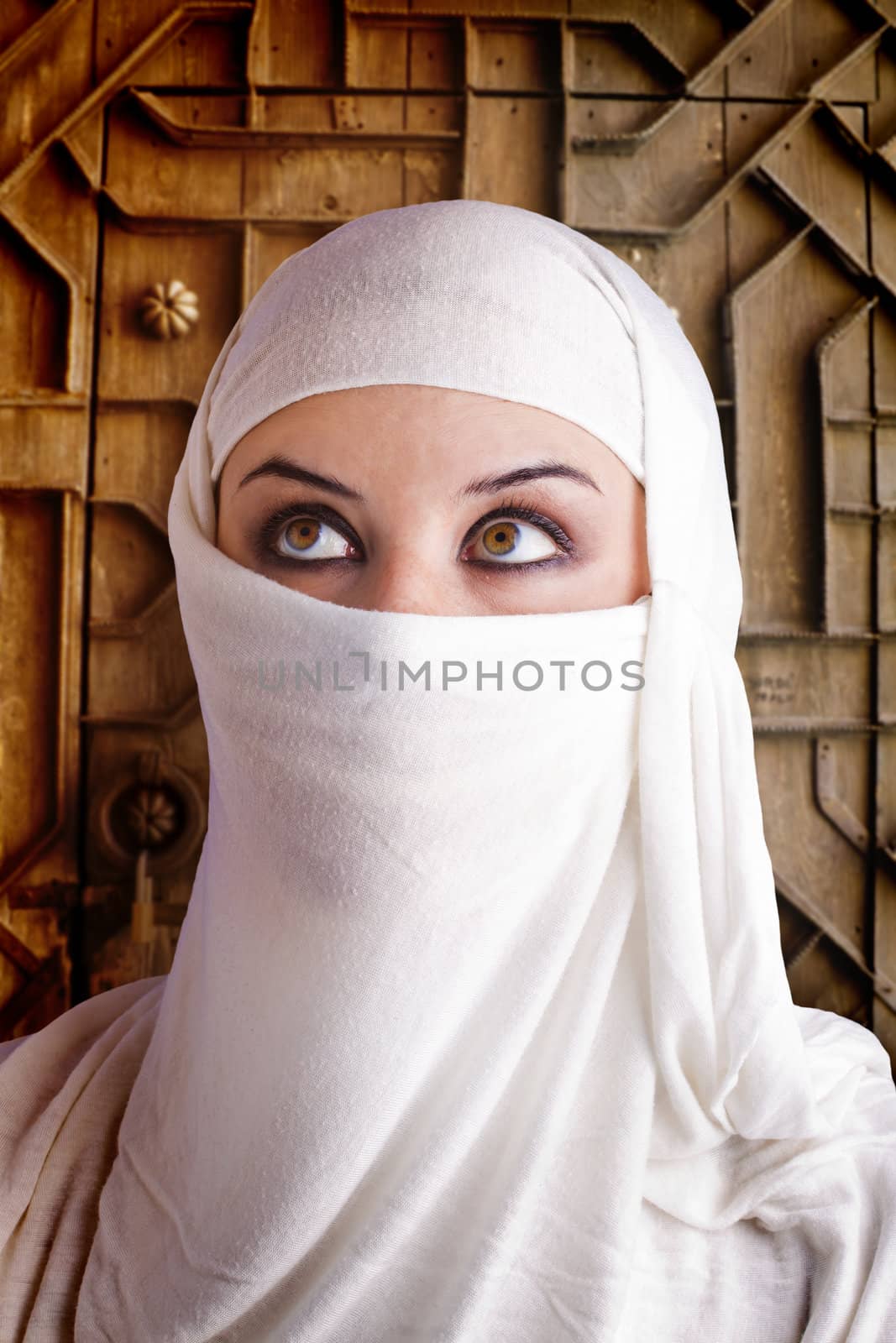woman dressed in Arab costume, castle gate in the background by FernandoCortes