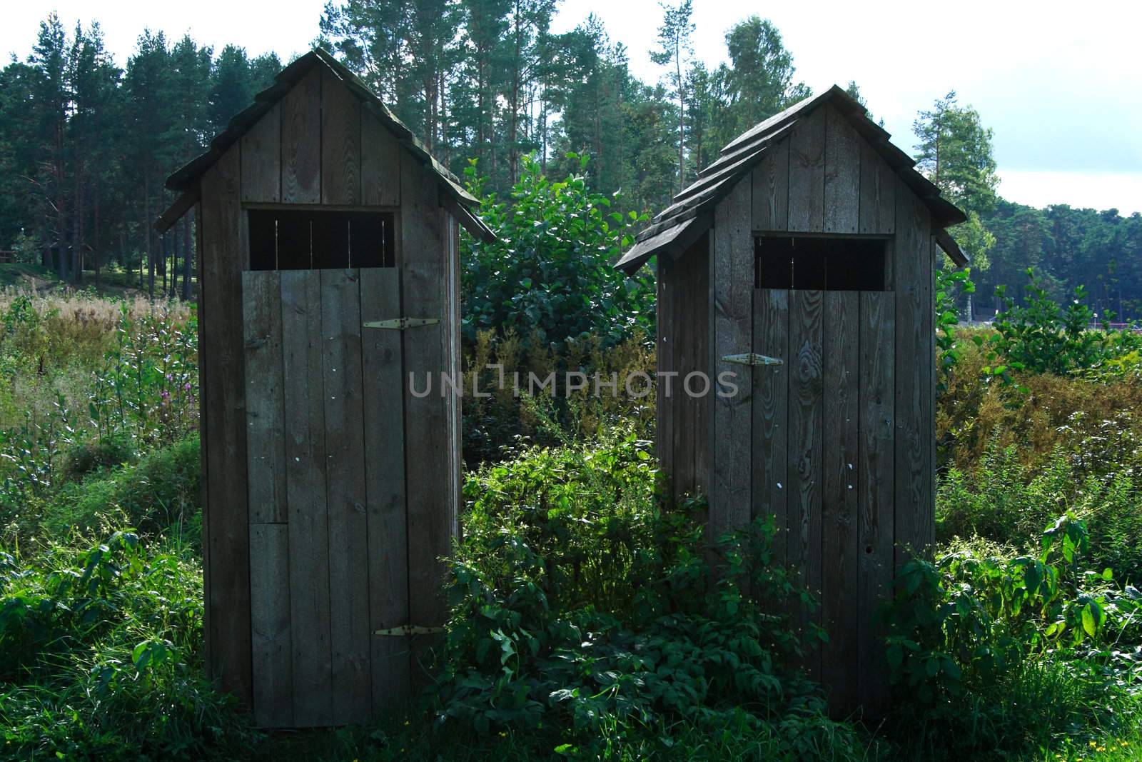 Wheathered wooden toilets standing in green swamp by vetdoctor