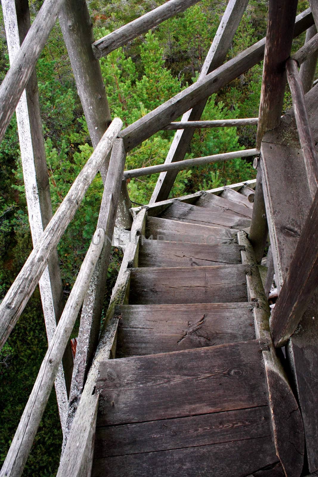 Wheathered wood stairs leading down till the ground