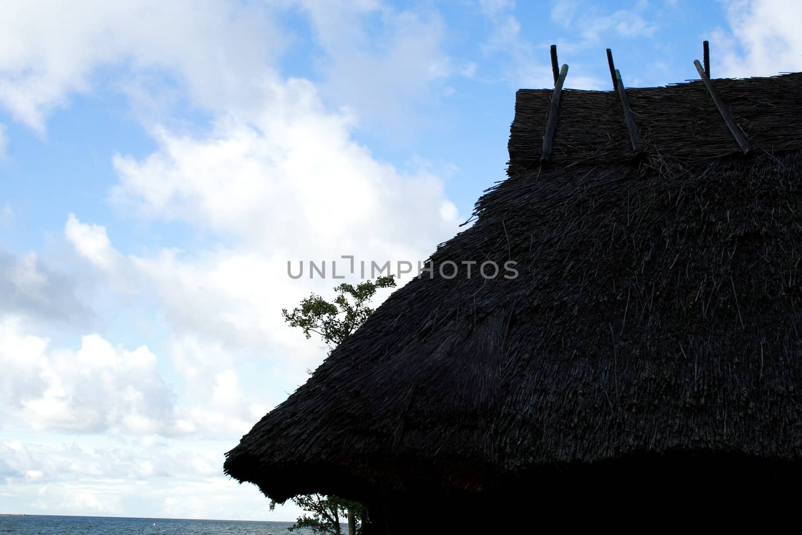 Old house whose roof were maded from reed