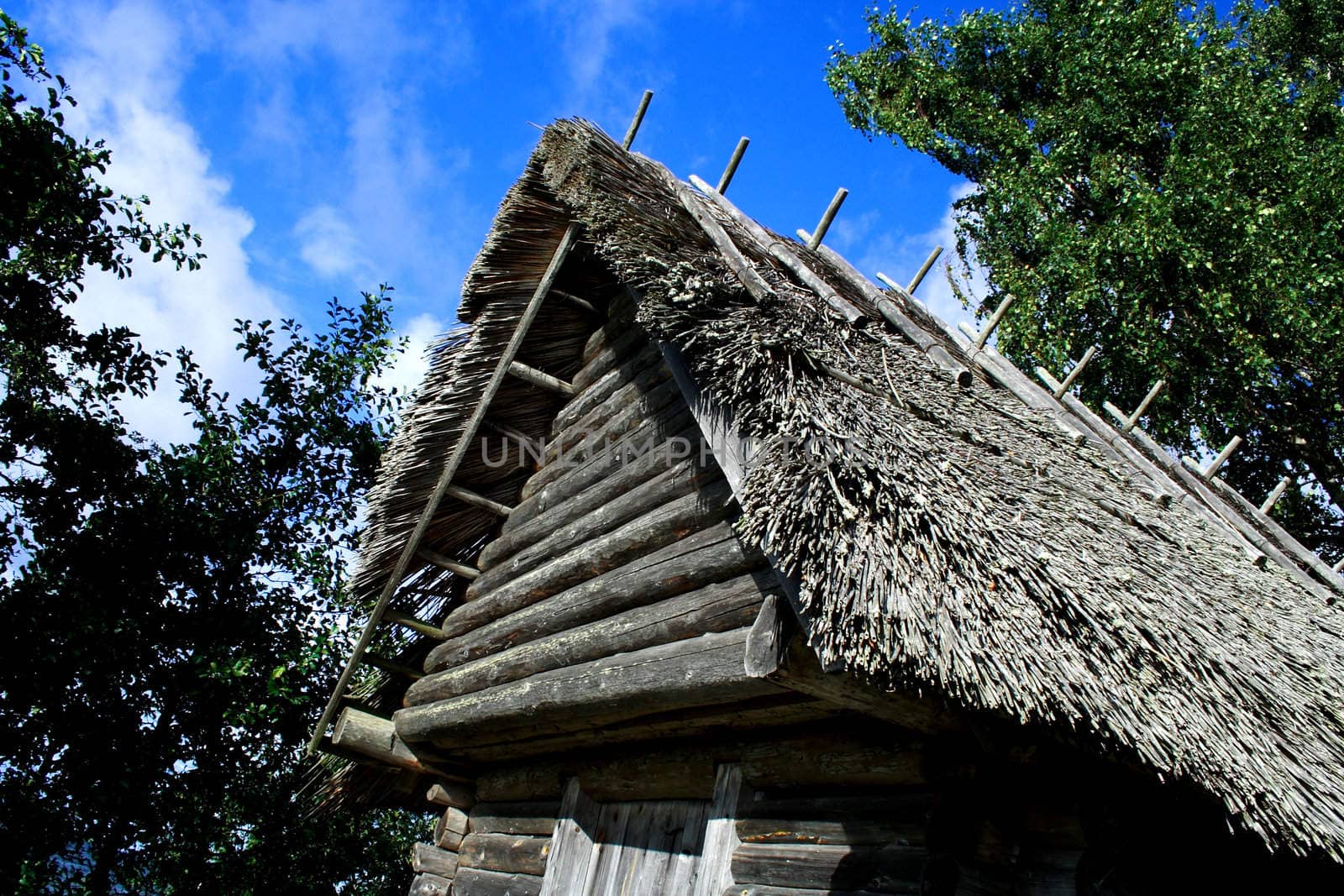 Old house whose roof were maded from reed