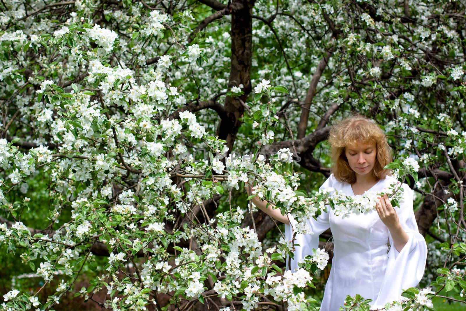 A blonde girl in white dress among white flowers
