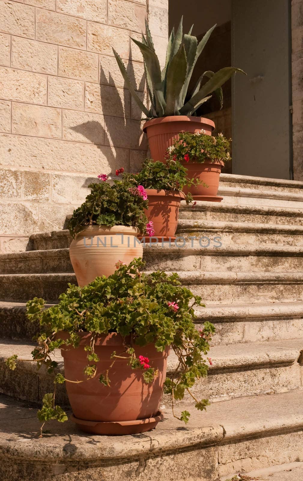 Flowerpots on an old stone ladder by malyshkamju