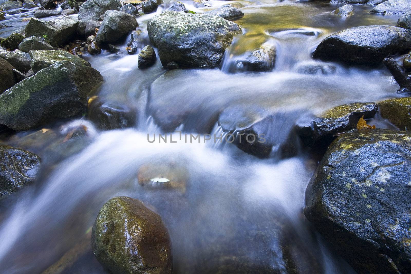 Cascade falls over mossy rocks