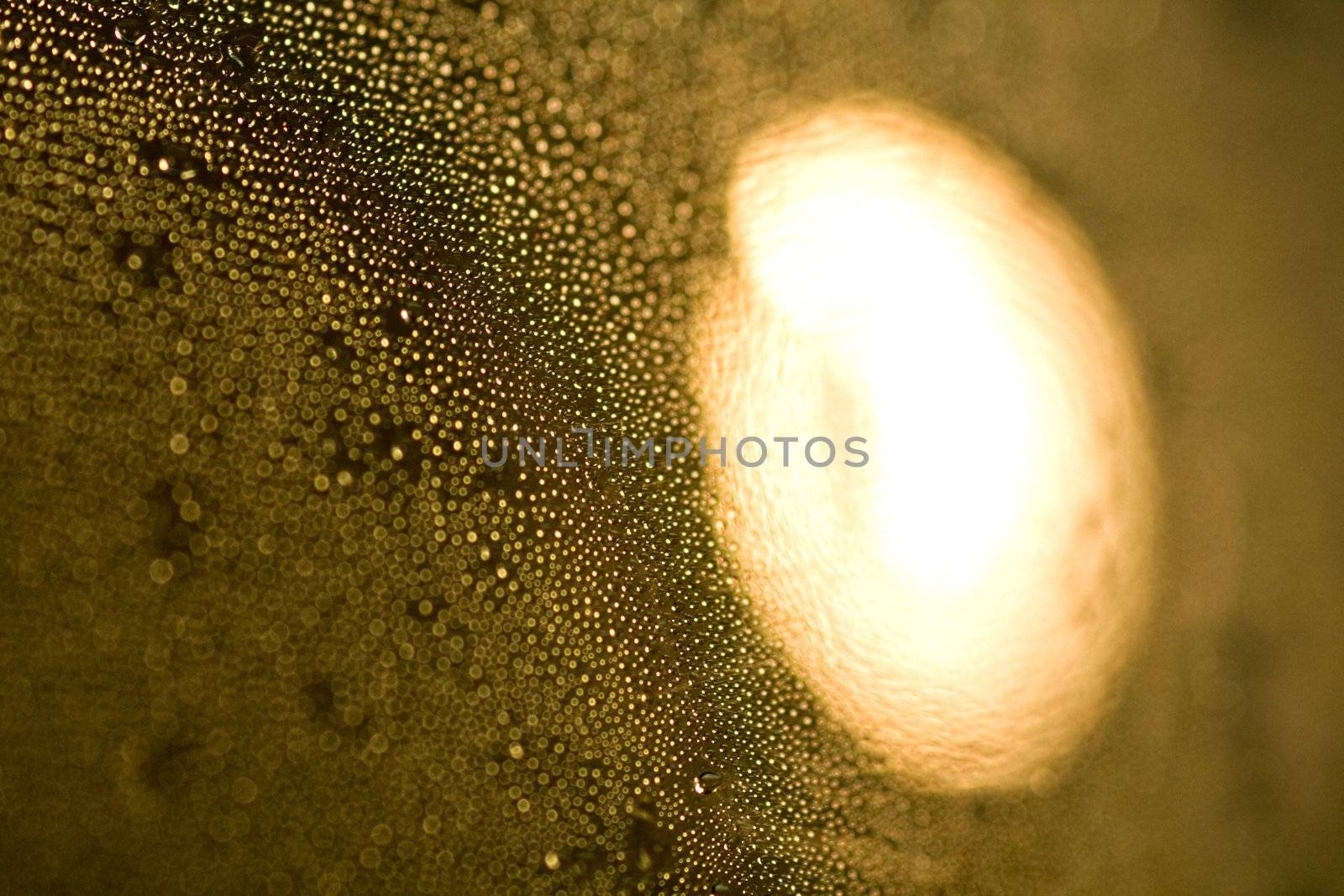 Close up abstract of many condensed drops of water with a focus of light circle.