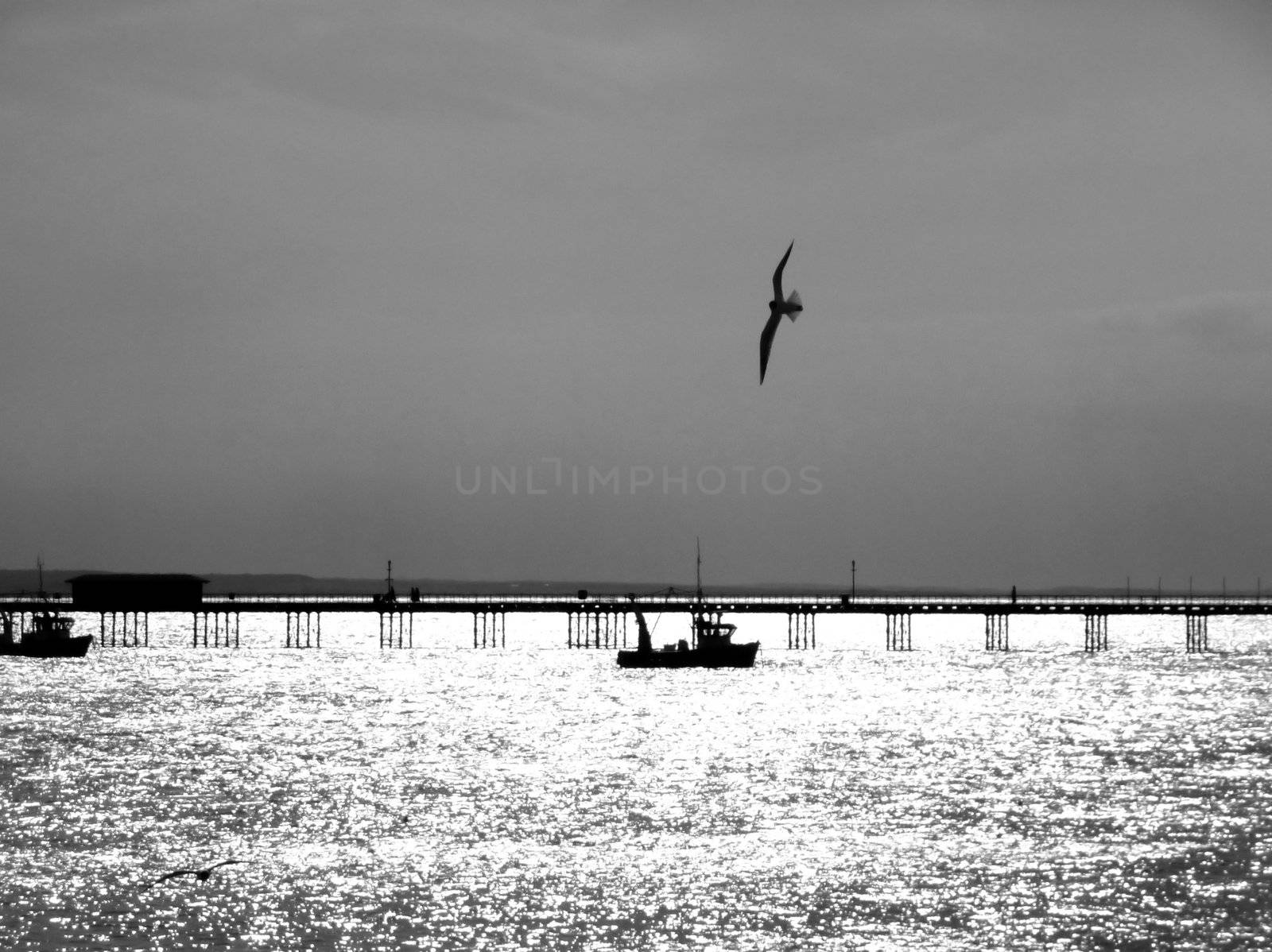 A boat that is by the pier in Southend.