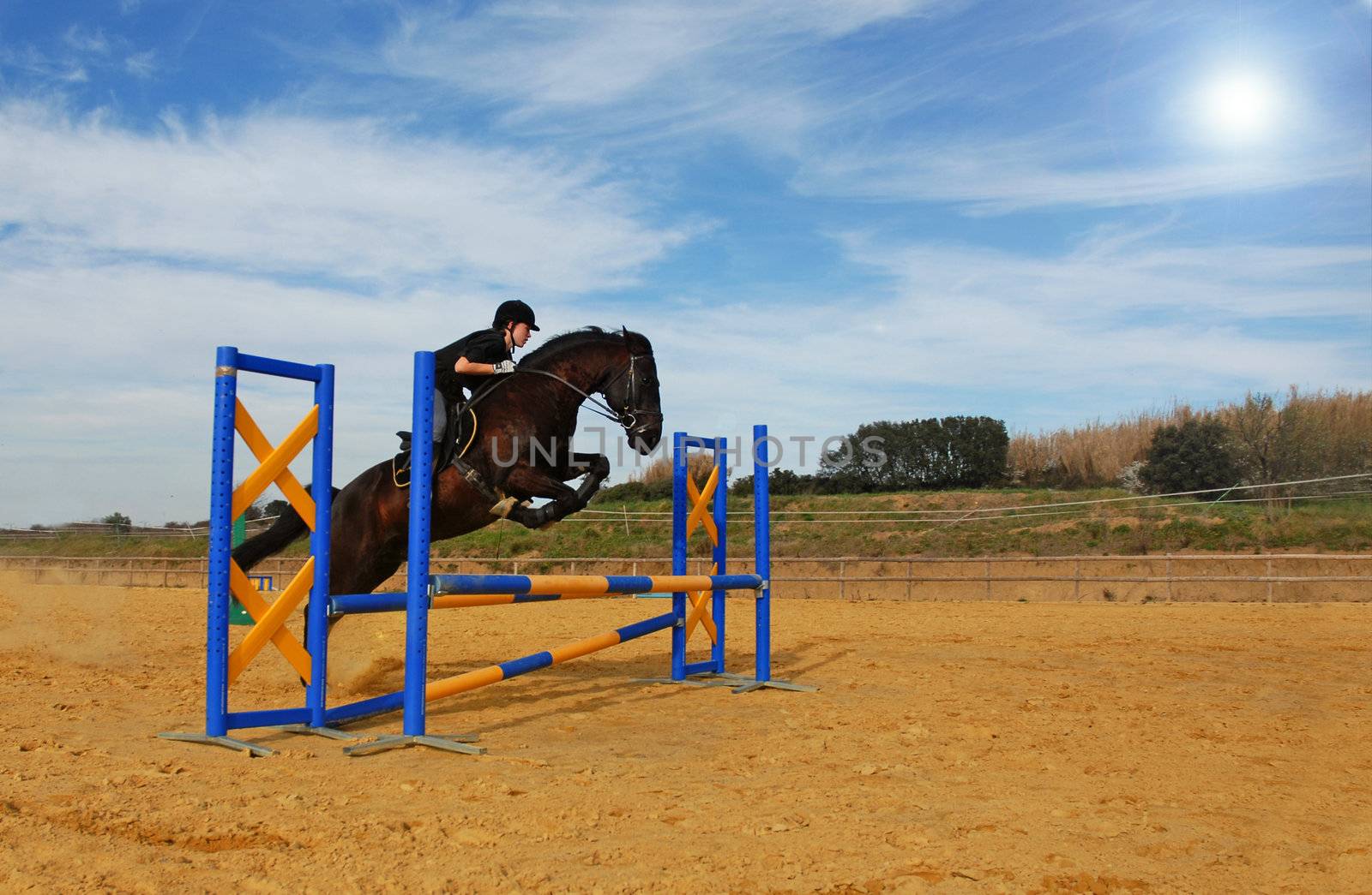 young girl and her black horse in a training of jumping