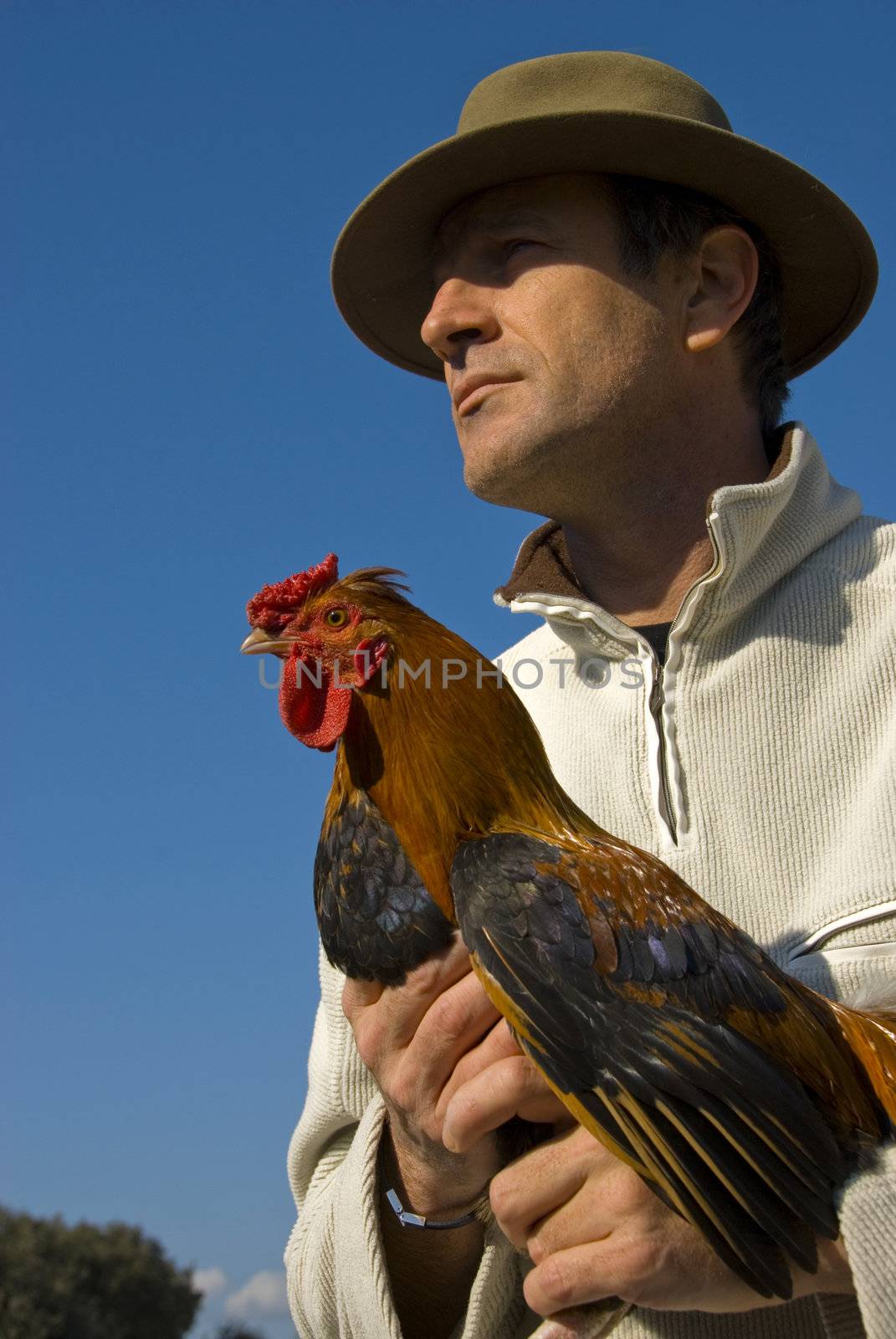 man and chicken by cynoclub