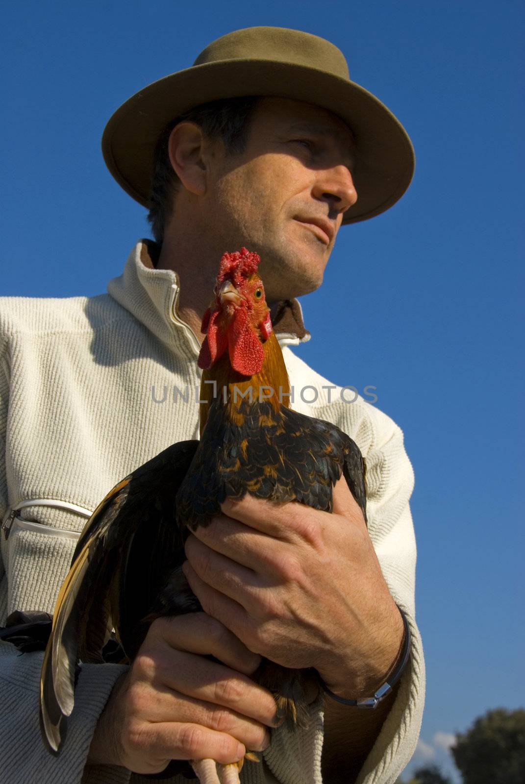beautiful french man with hat and his colorful chicken