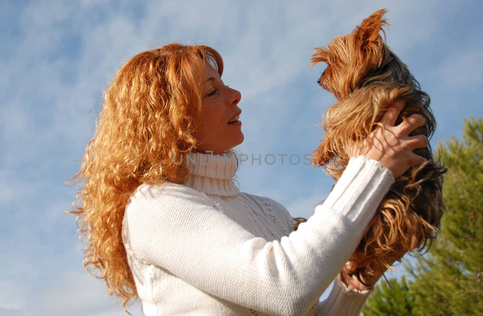 woman withe red hair watching her little yorkshire terrier