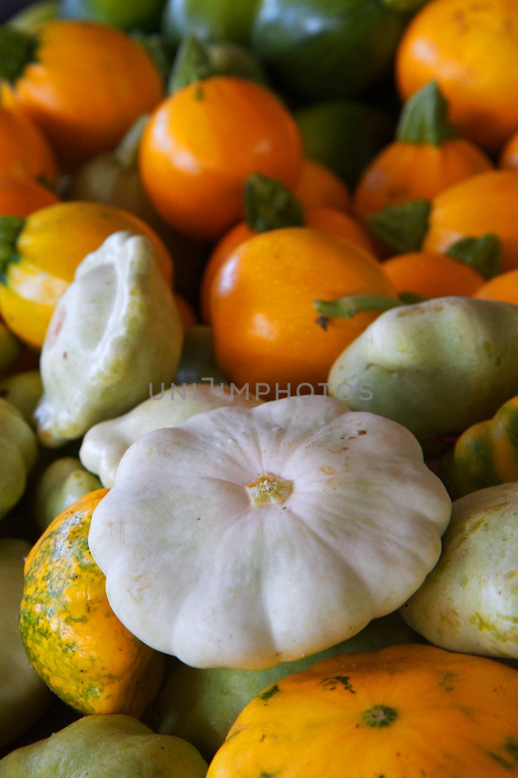 Pile of an assortment of orange, green, white, and yellow summer squash
