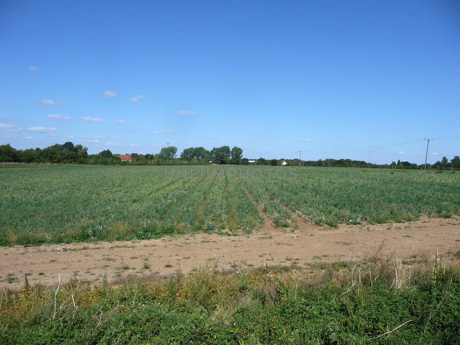 A view of some farm land in Cambridge.