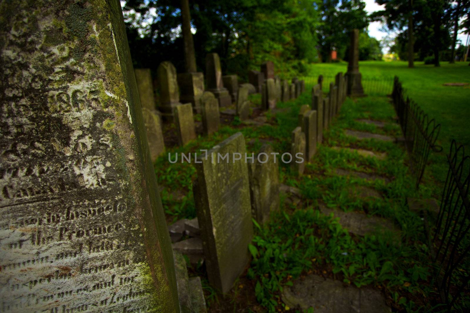 A section of a very old graveyard