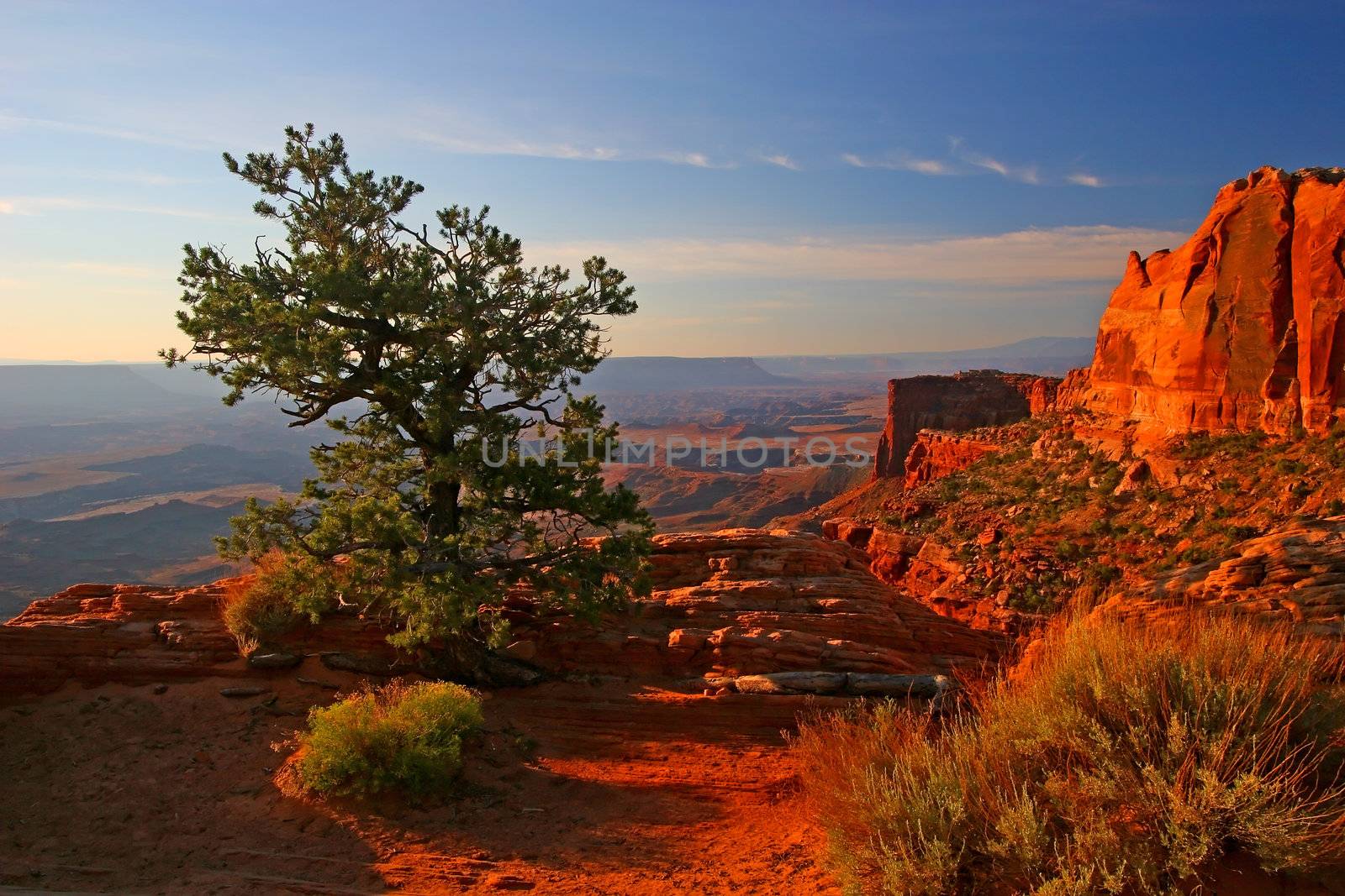 Sunrise in Canyonlands by LoonChild