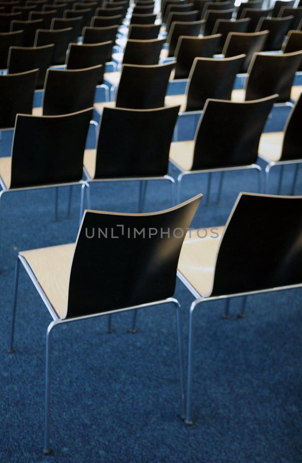 Empty room with many chairs on blue carpet