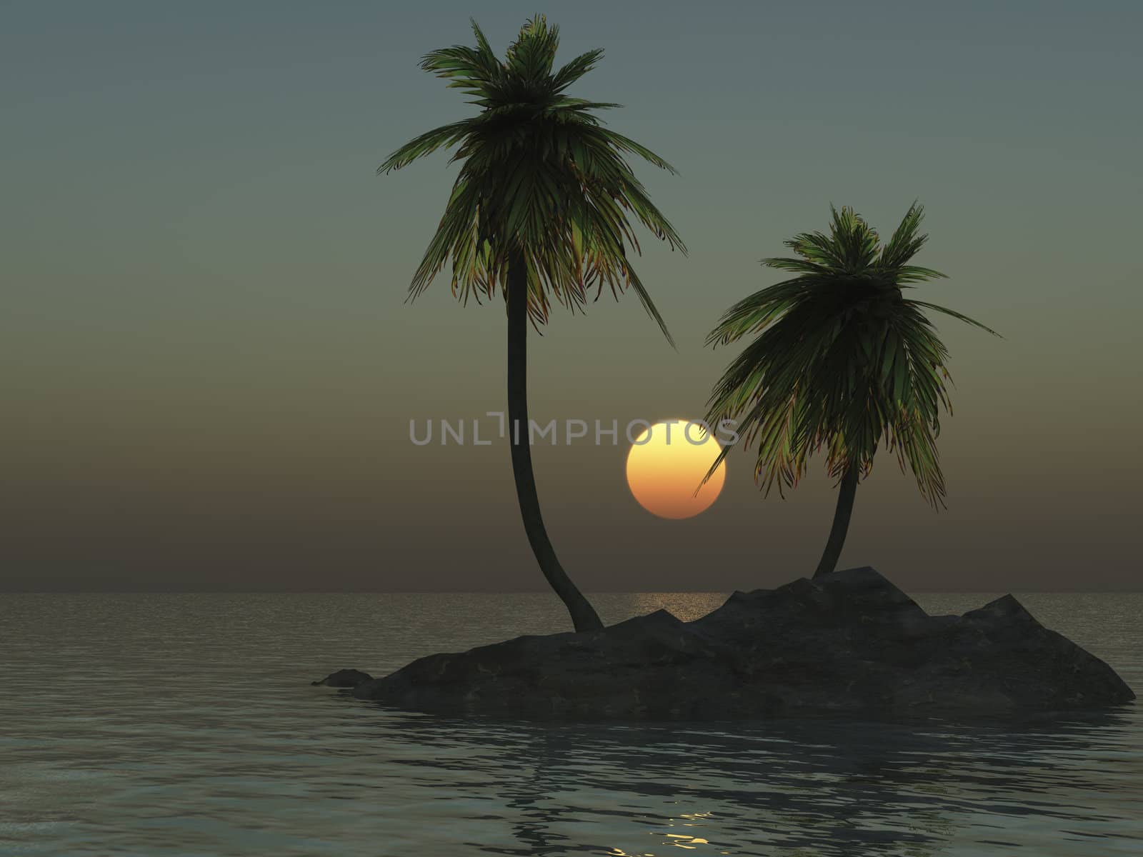 tropical desert island with palm trees by paddythegolfer