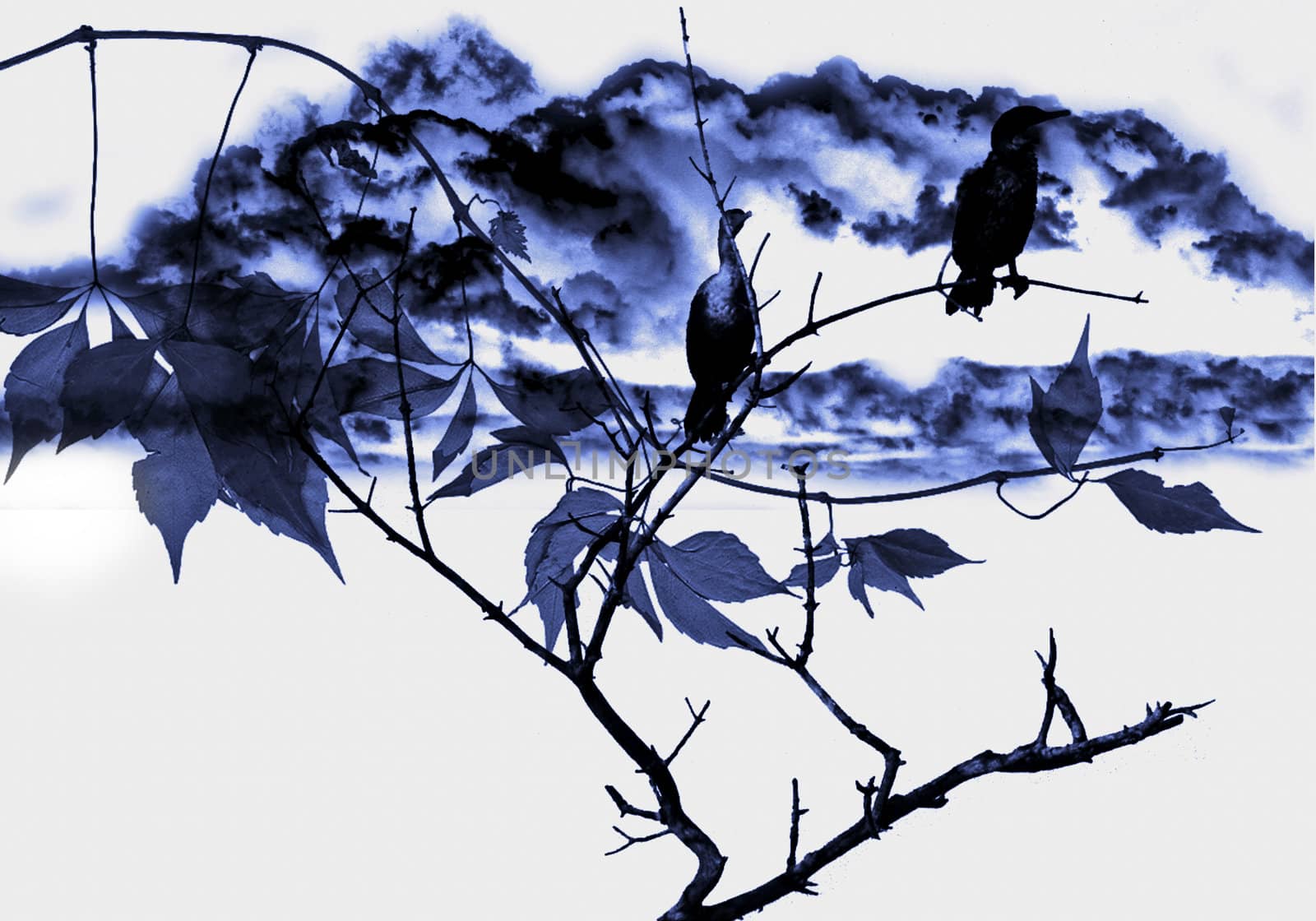 washed out illustration of grassy meadow with bird on tree branch