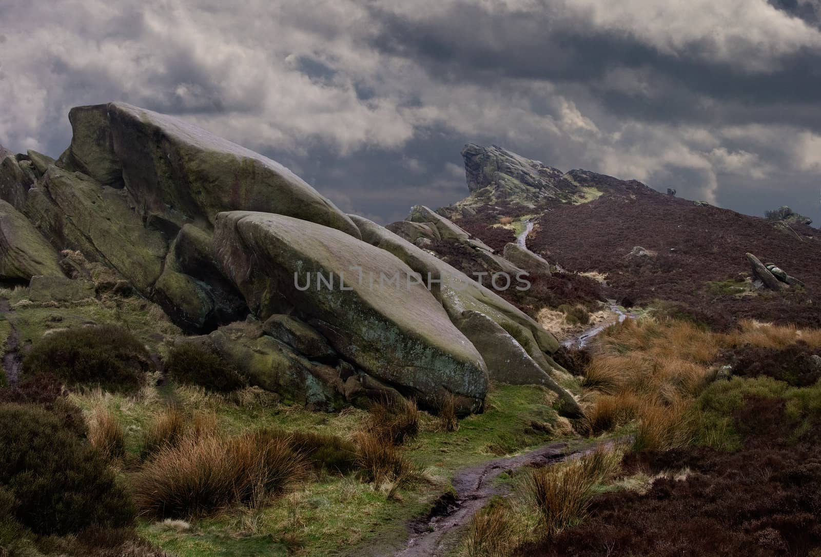 The moorland scenery at Ramshaw Rocks in staffordshire, England.