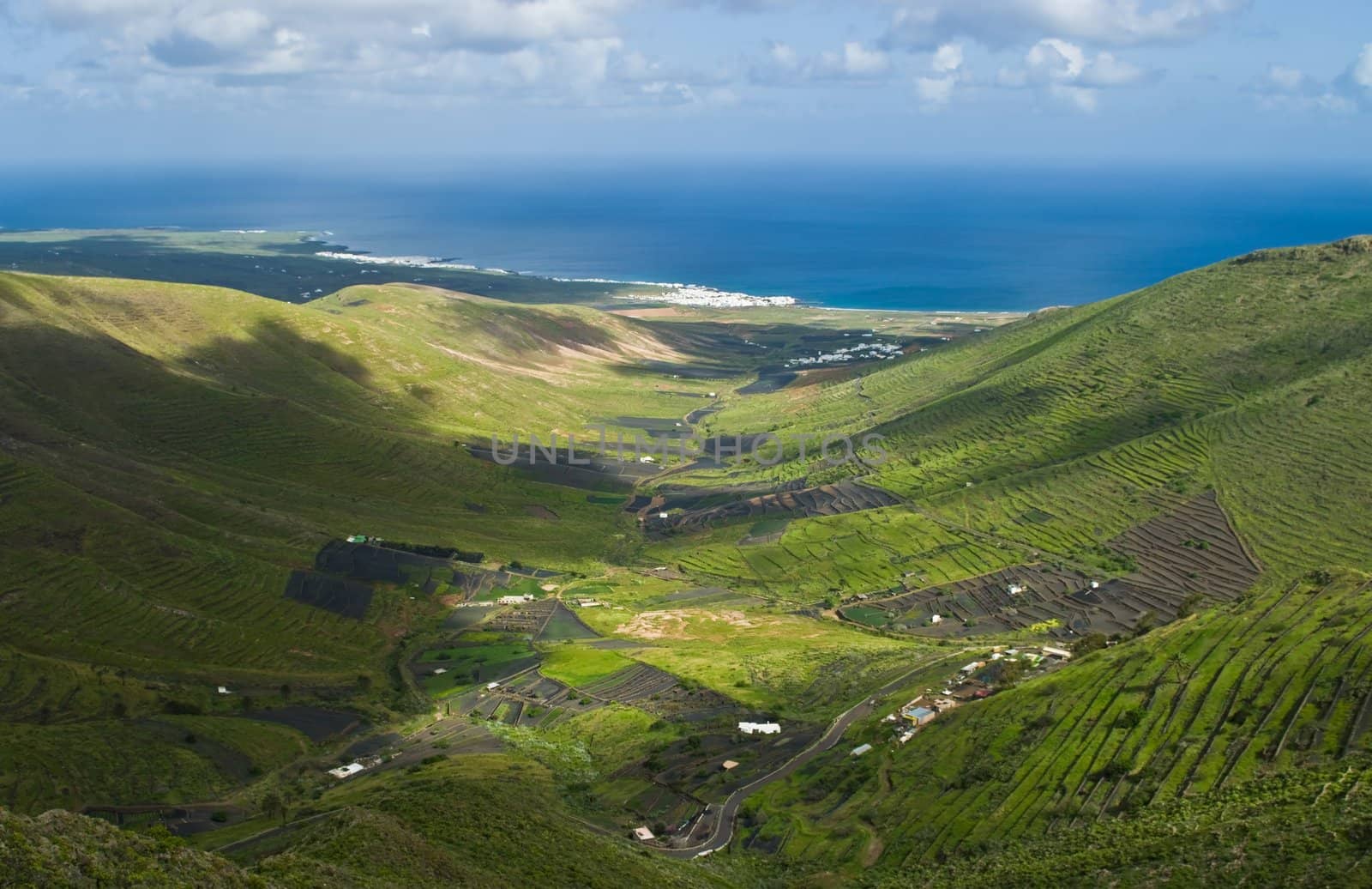 Green valley near Haria on Lanzarote Island, Spain.