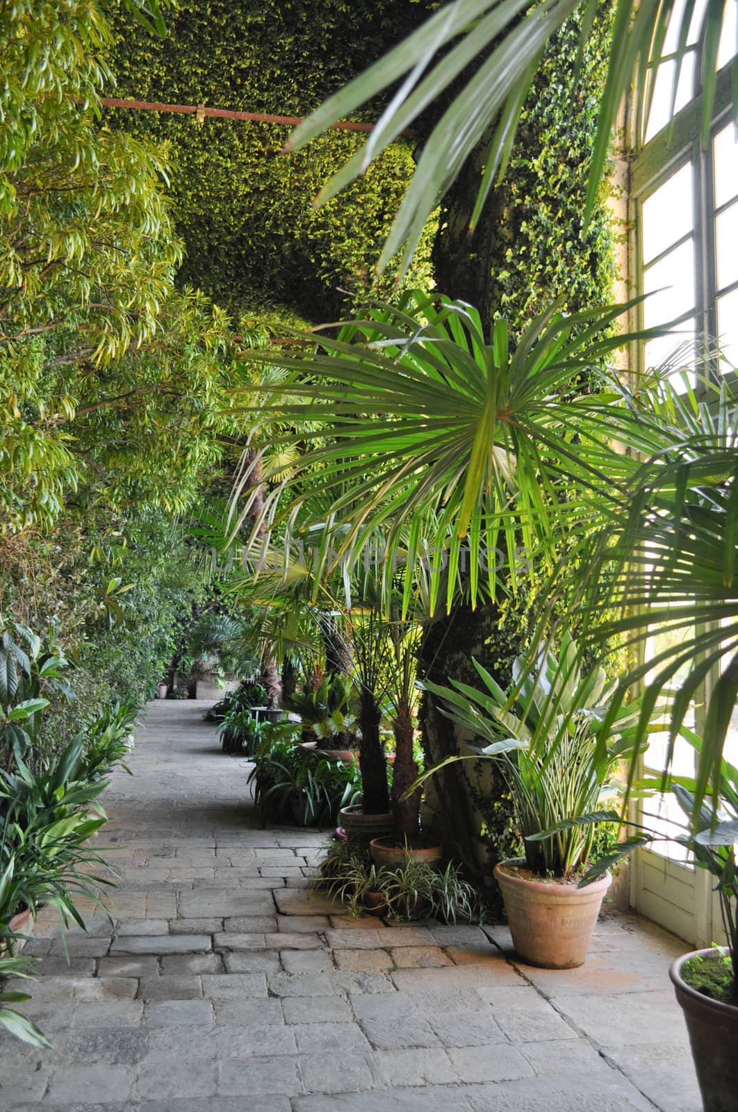 A botanical garden with many species of plants and trees