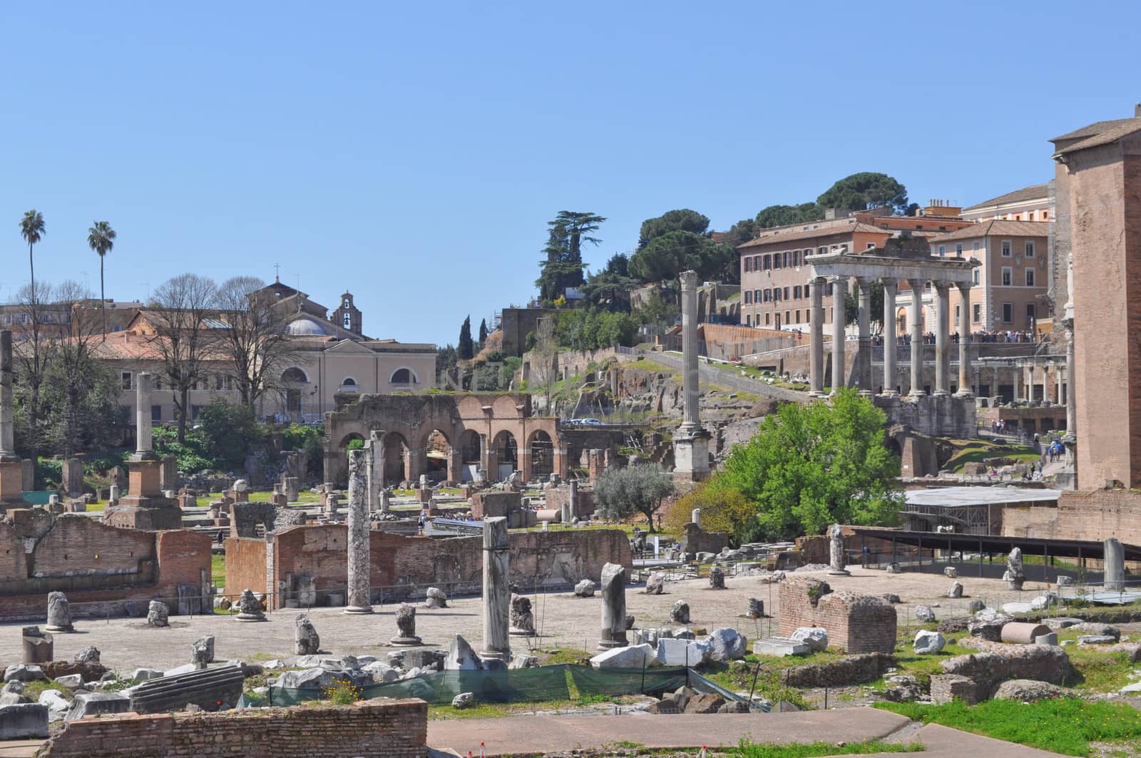 Ruins of the Roman Forum (Foro Romano) in Rome, Italy