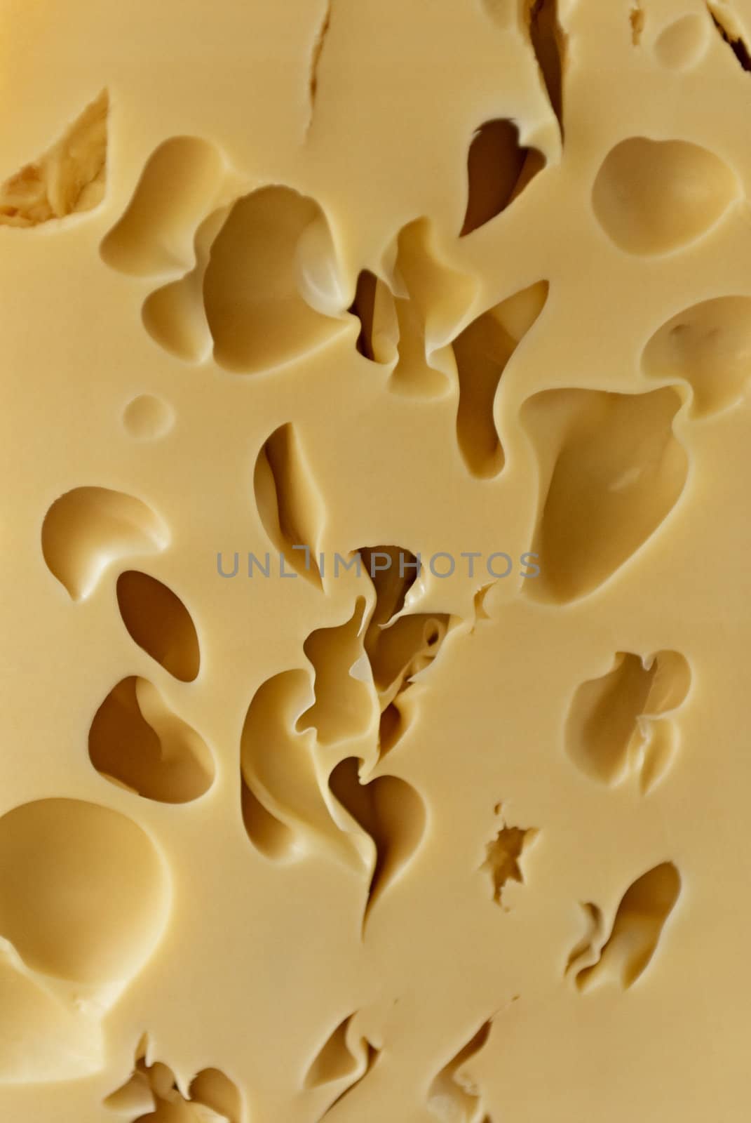 Cheese loaf whith holes. Close-up. by Kamensky