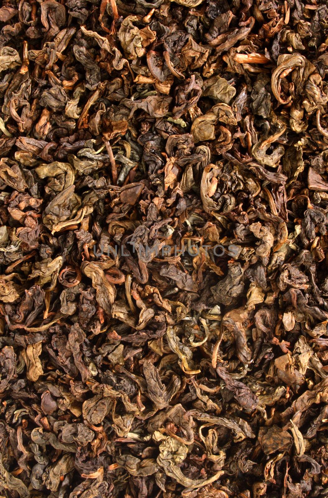 Full frame close up of oolong tea leaves