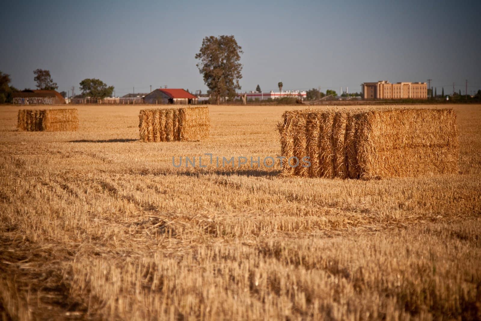 Bundled block of hay closeup