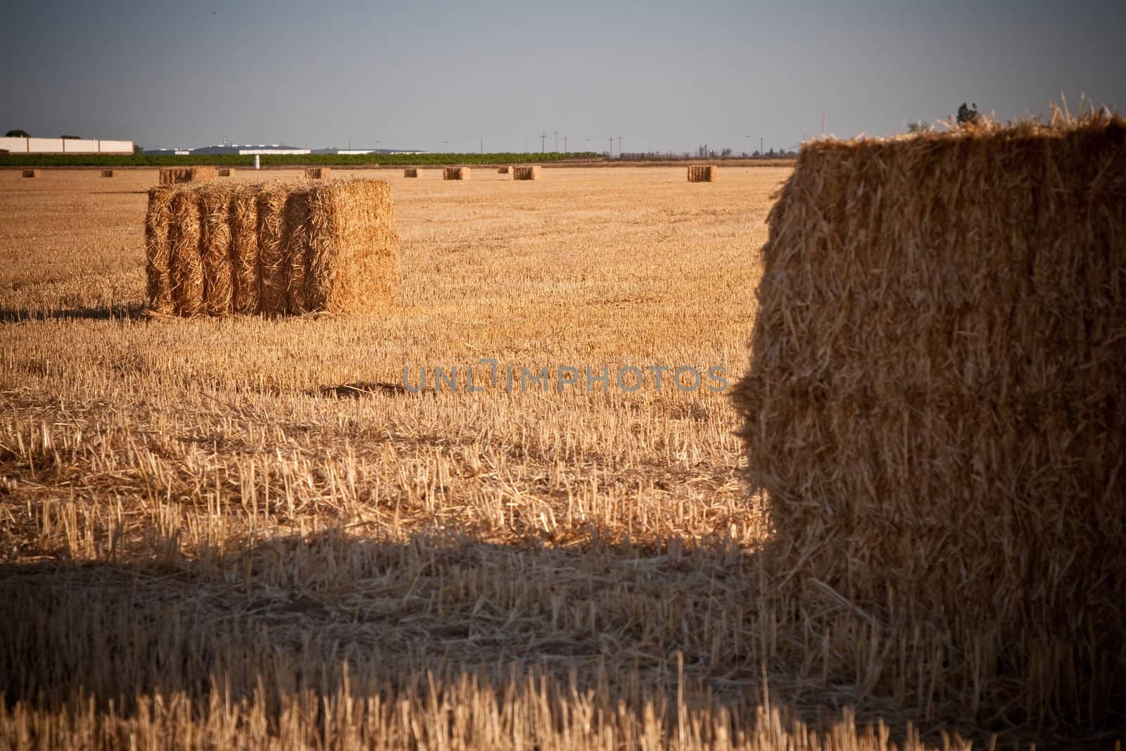 Hay Bale by timscottrom