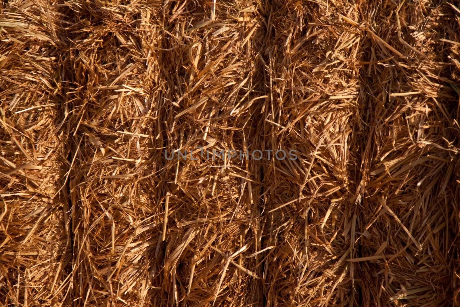 Hay Bale by timscottrom