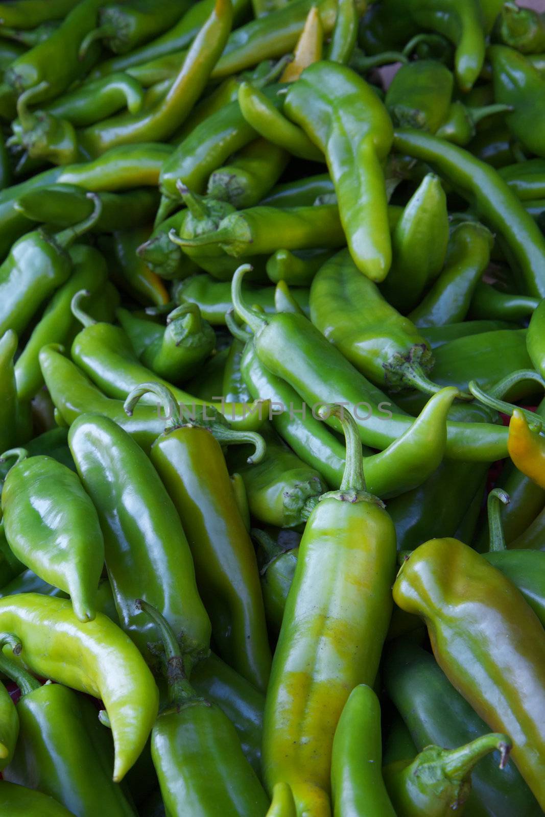 Pile of jalapeno green and yellow peppers at the farmers market