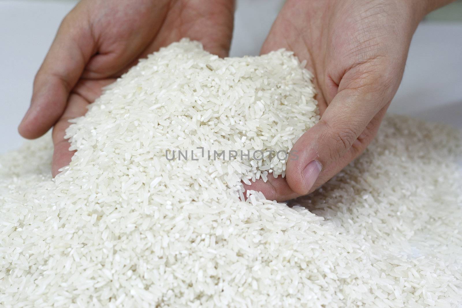 Abundant rice supply concept with hand scooping the rice