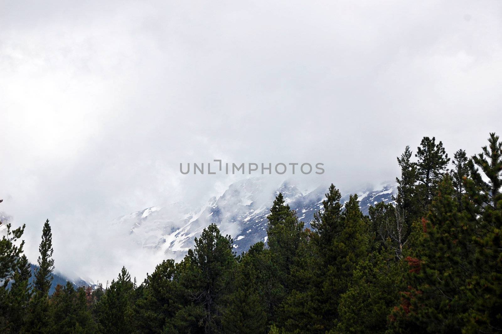 Colorado Mountains by RefocusPhoto