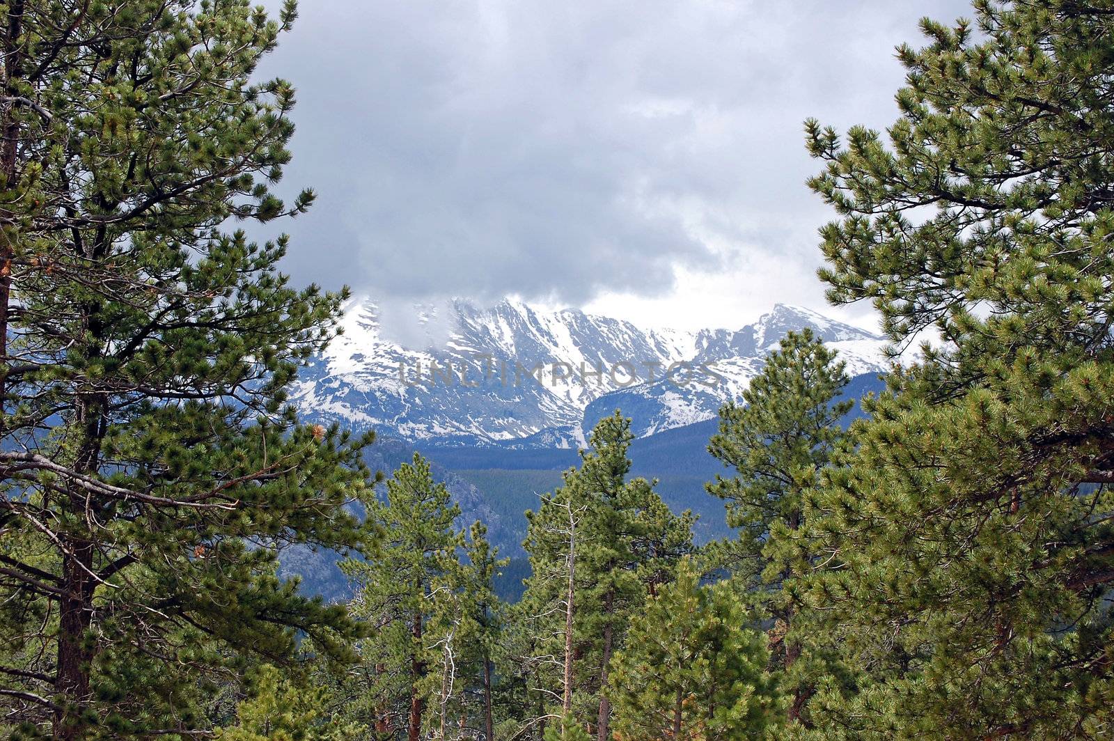 Colorado Mountains