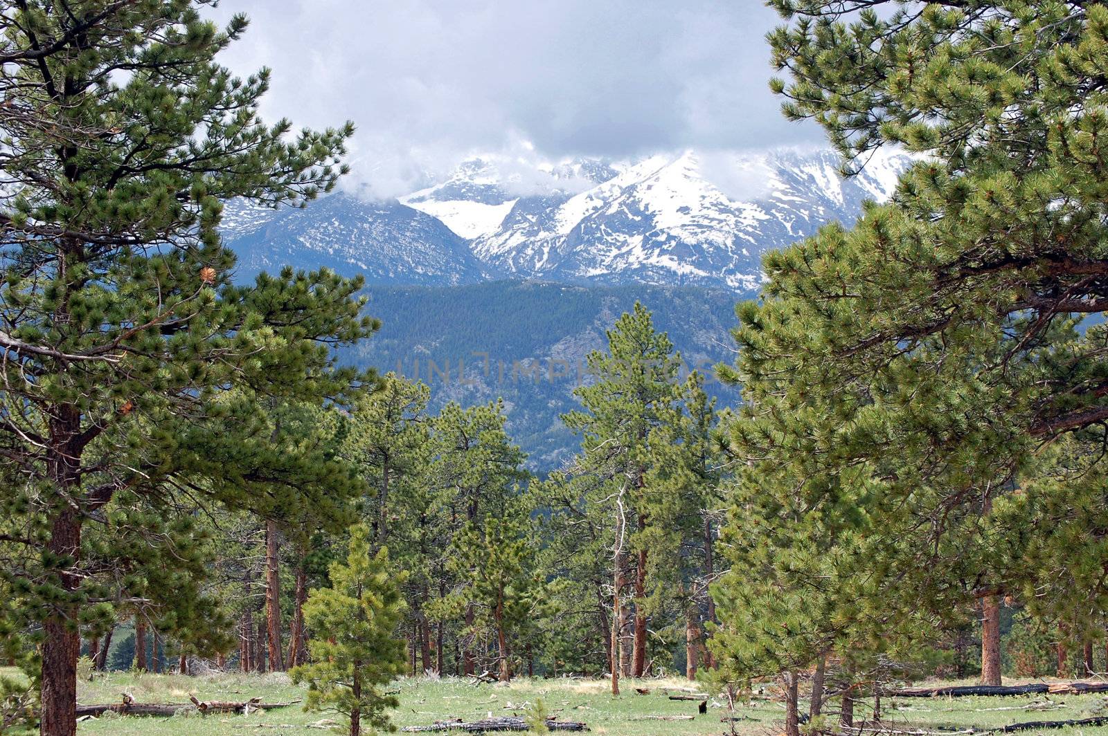 Colorado Mountains by RefocusPhoto