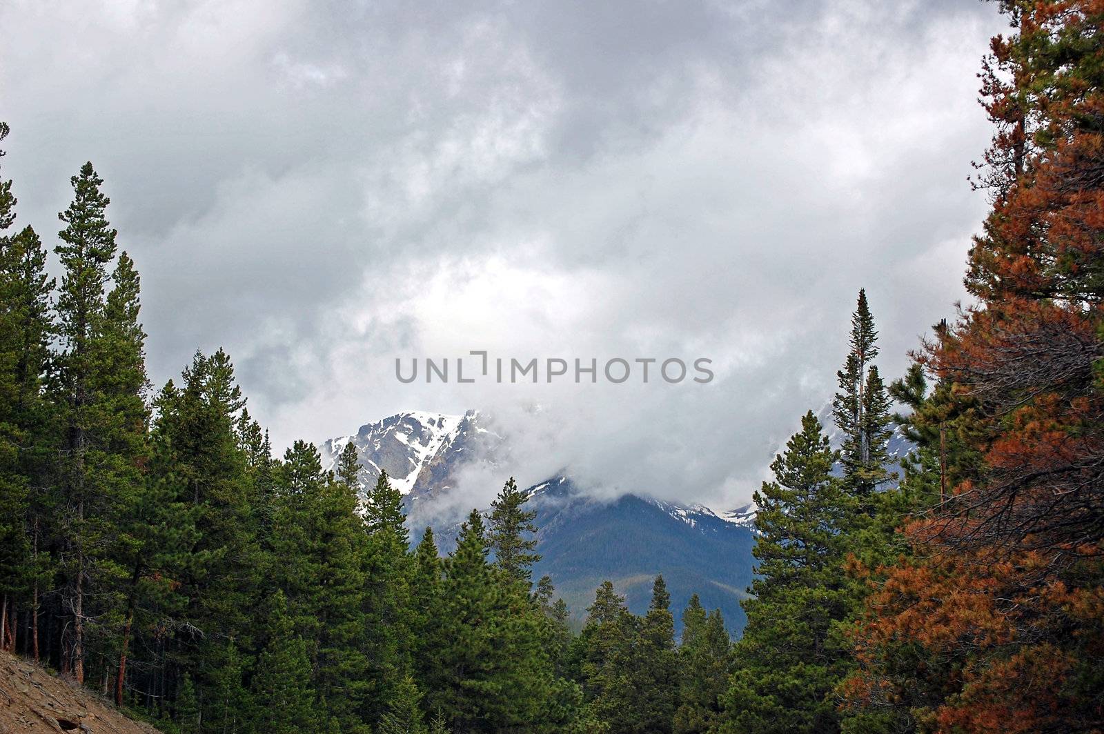 Colorado Mountains by RefocusPhoto