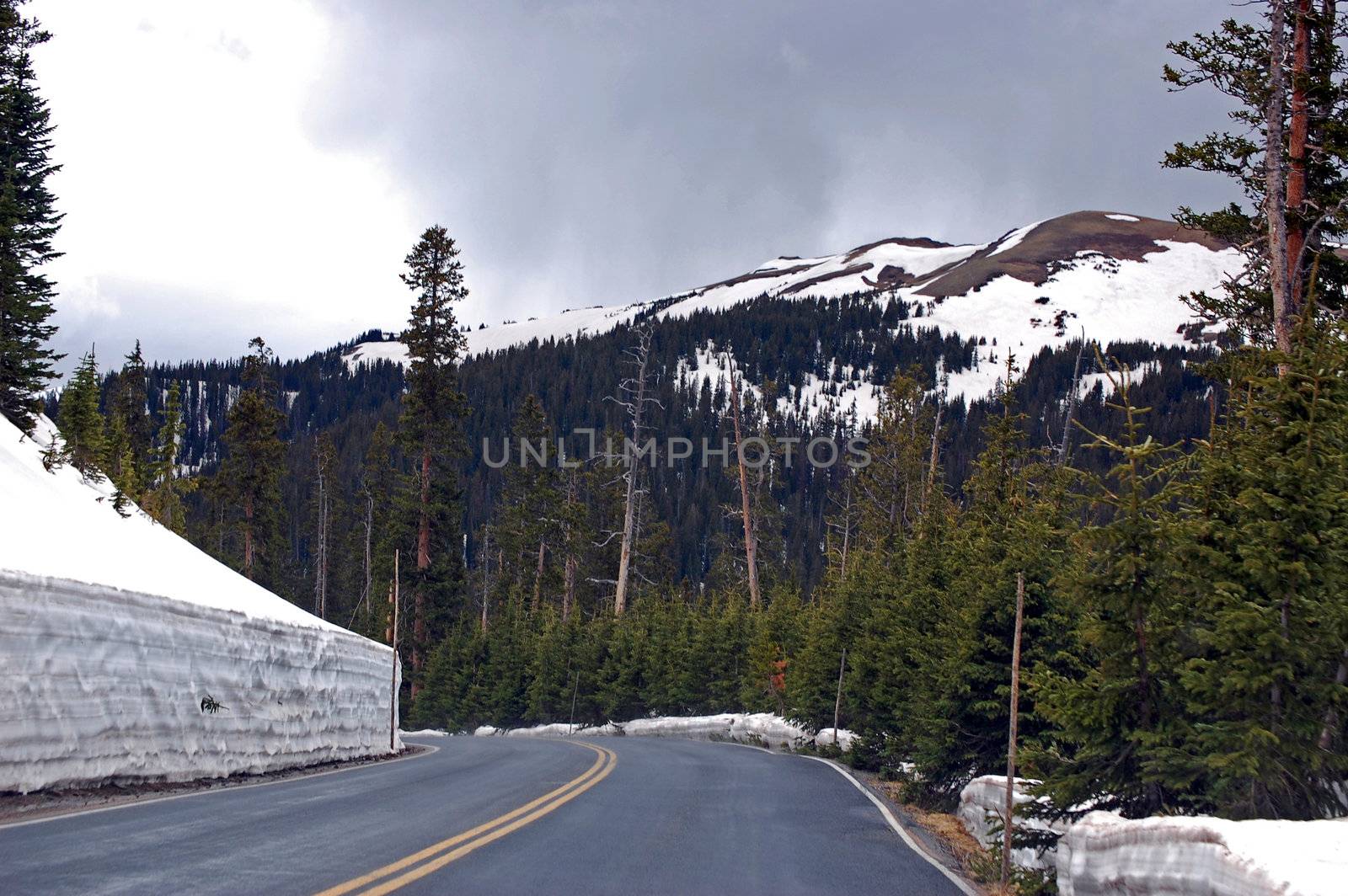 Colorado Mountains by RefocusPhoto