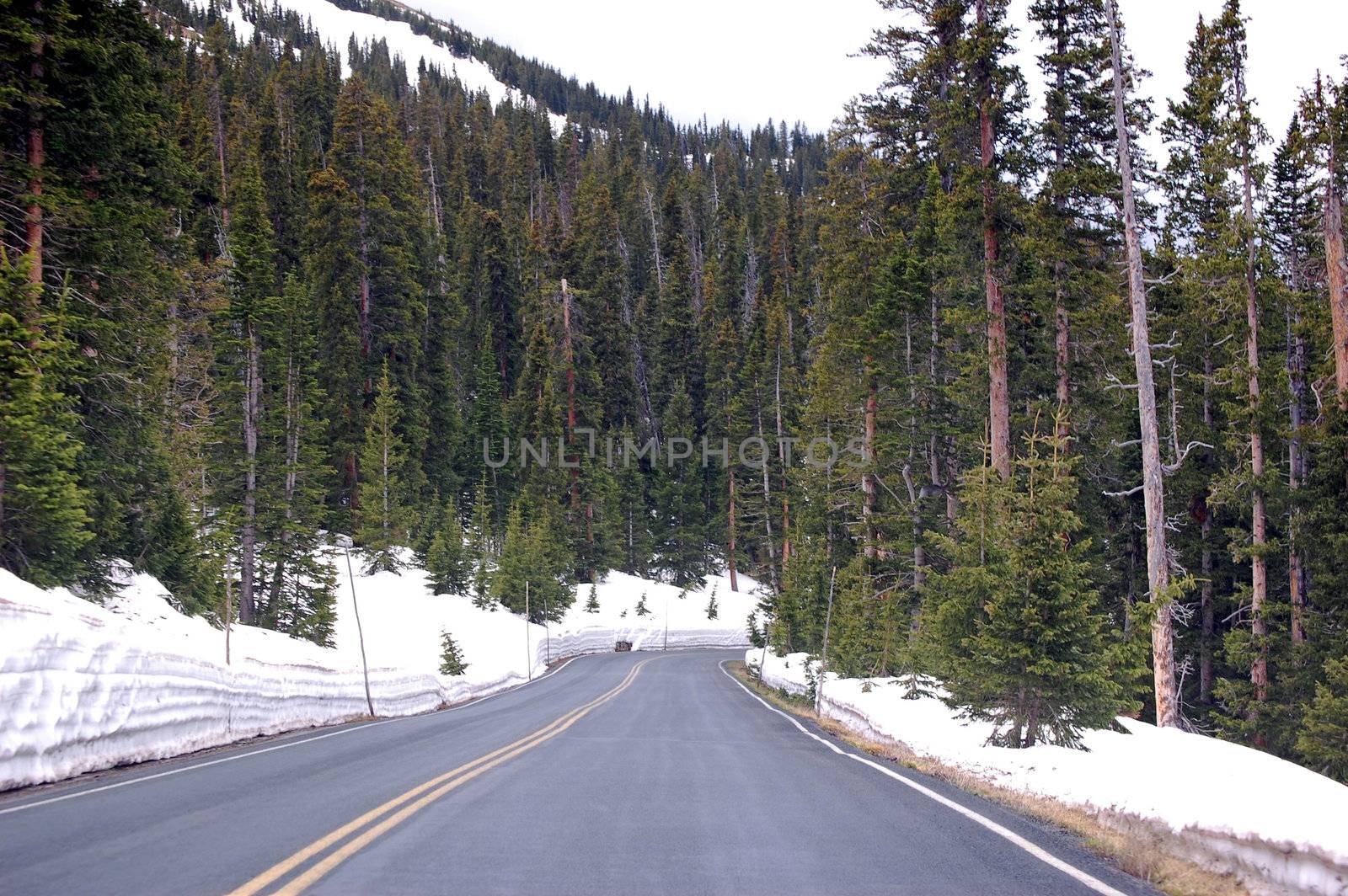 Colorado Mountains by RefocusPhoto