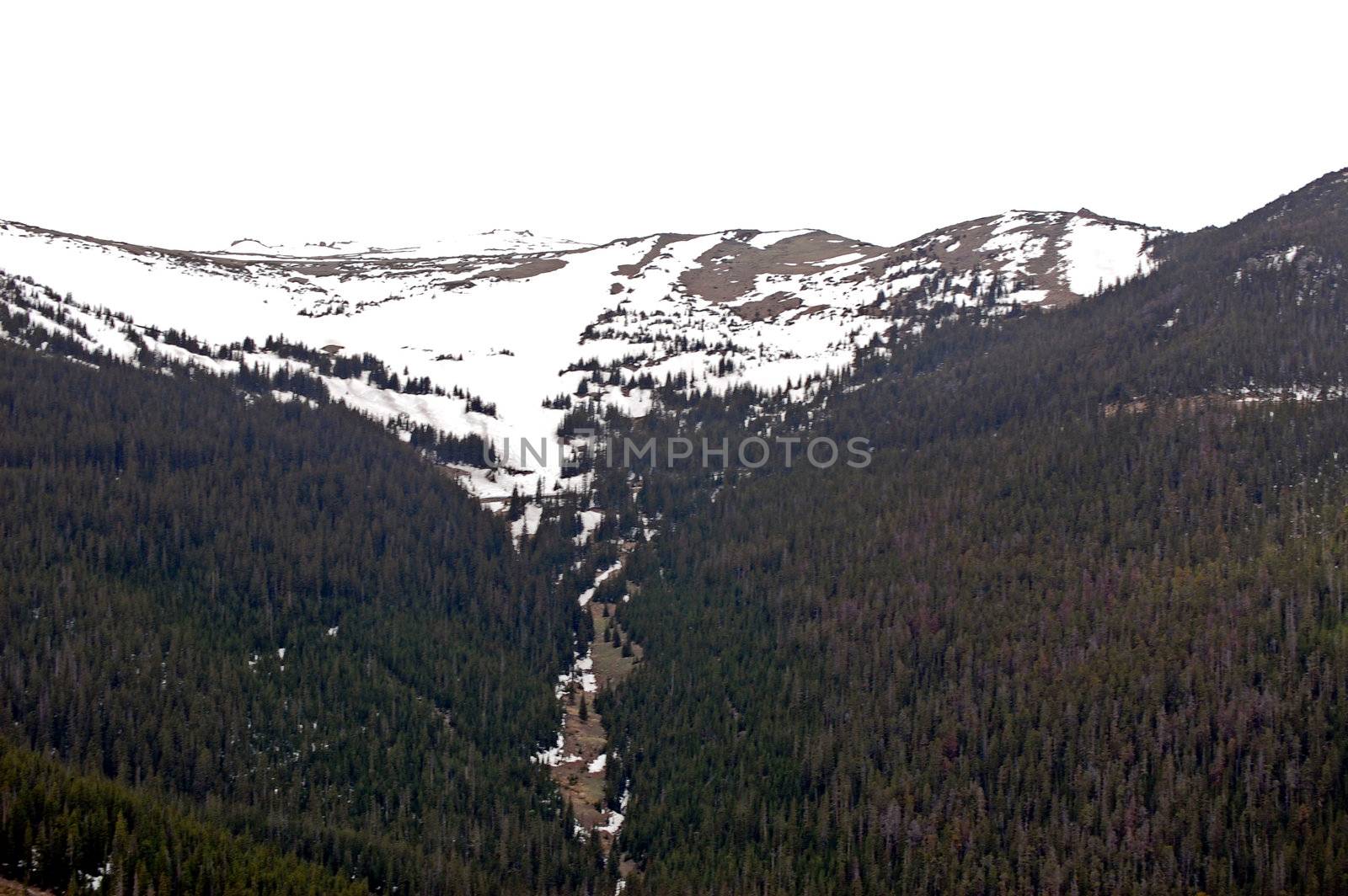 Colorado Mountains by RefocusPhoto