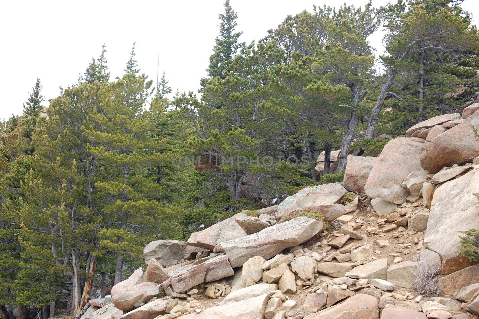 Colorado Mountains by RefocusPhoto