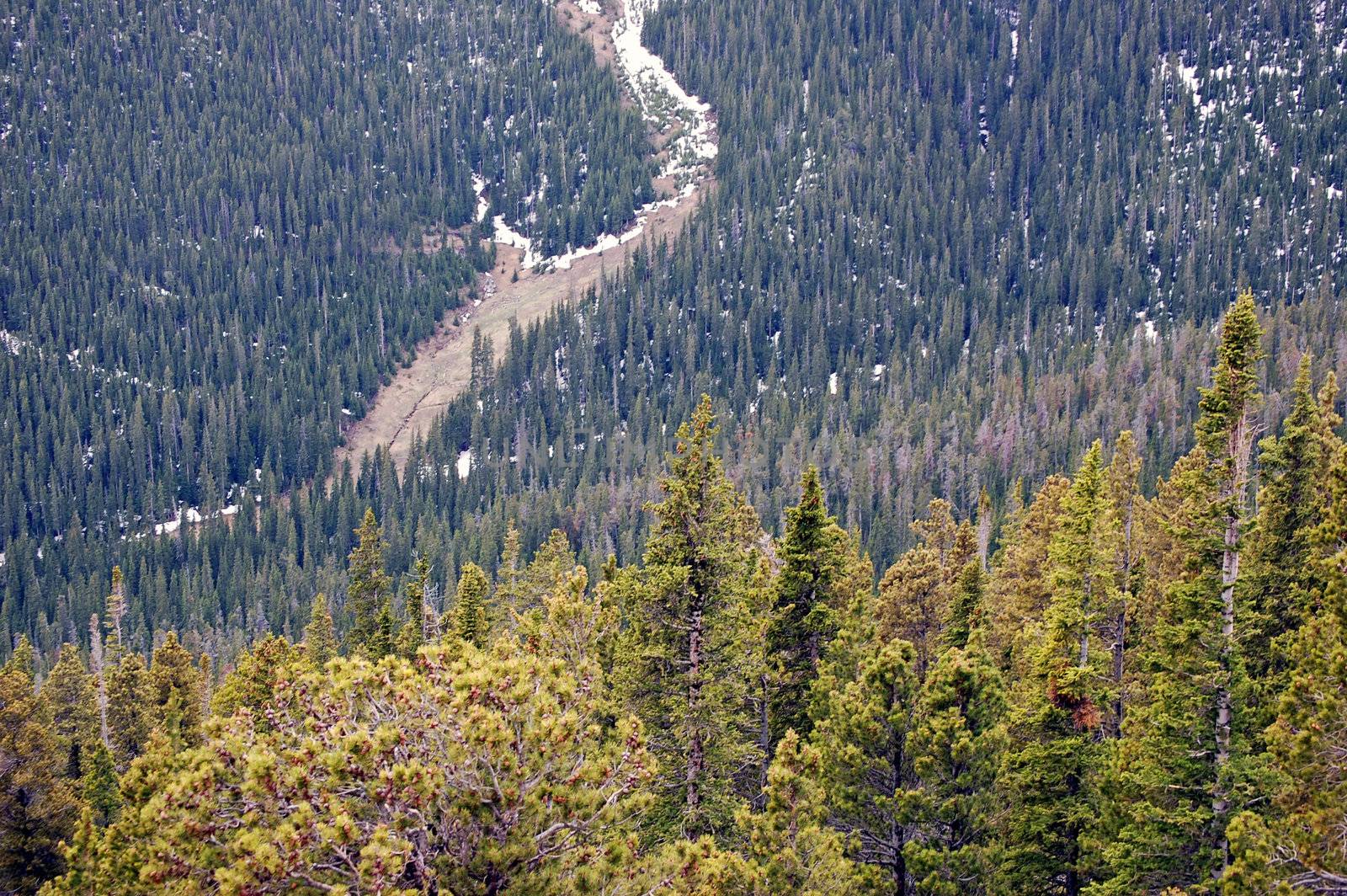 Colorado Mountains