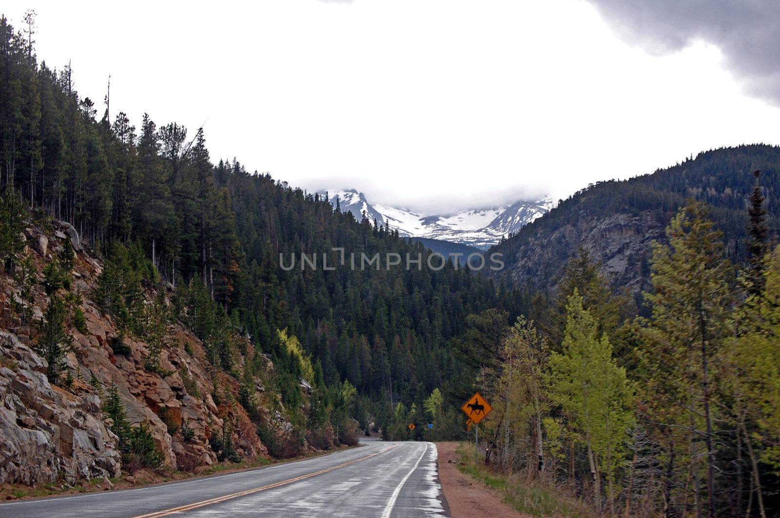 Colorado Mountains