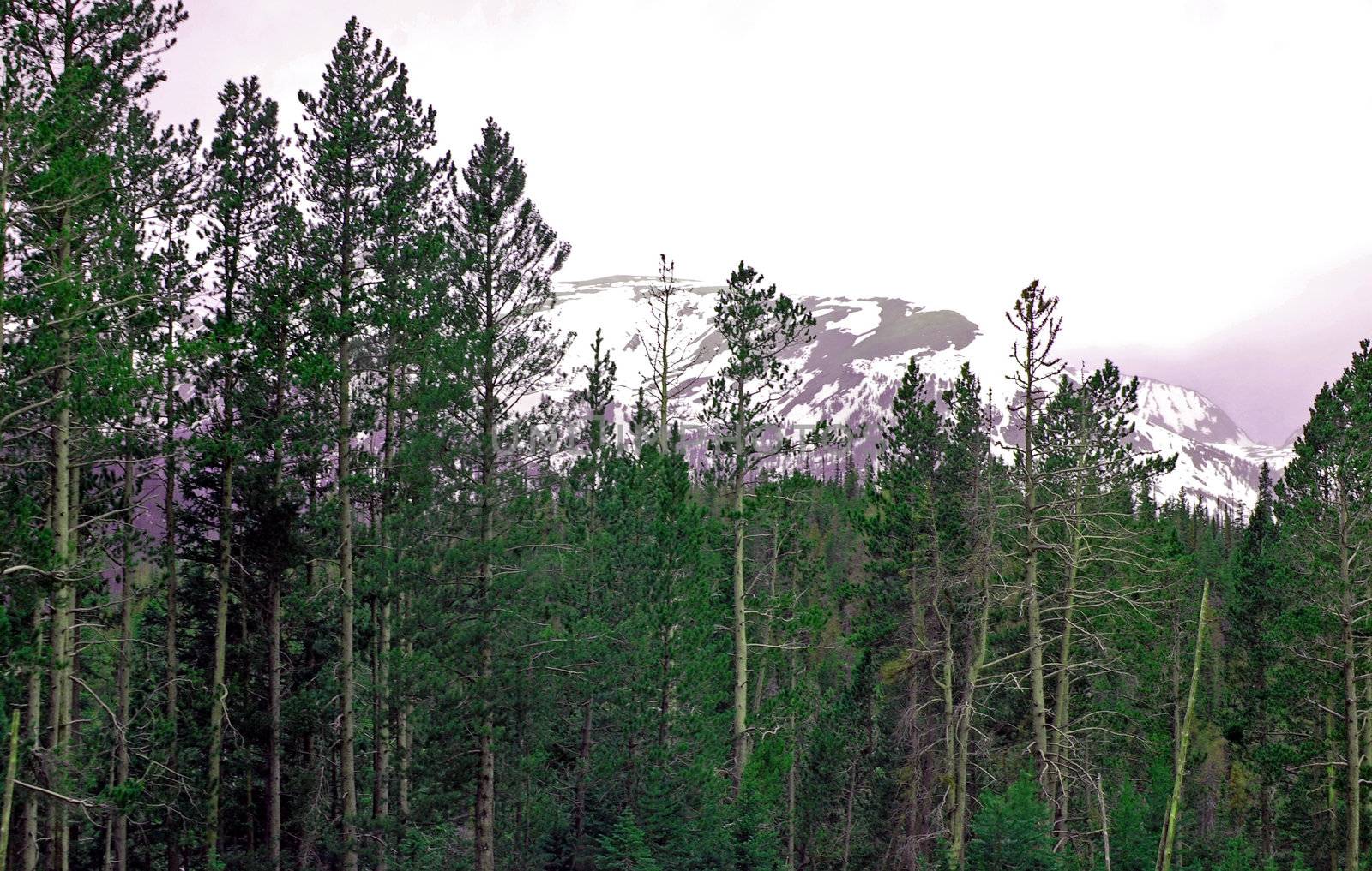 Colorado Mountains