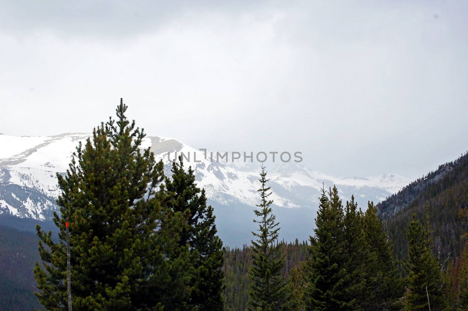 Colorado Mountains