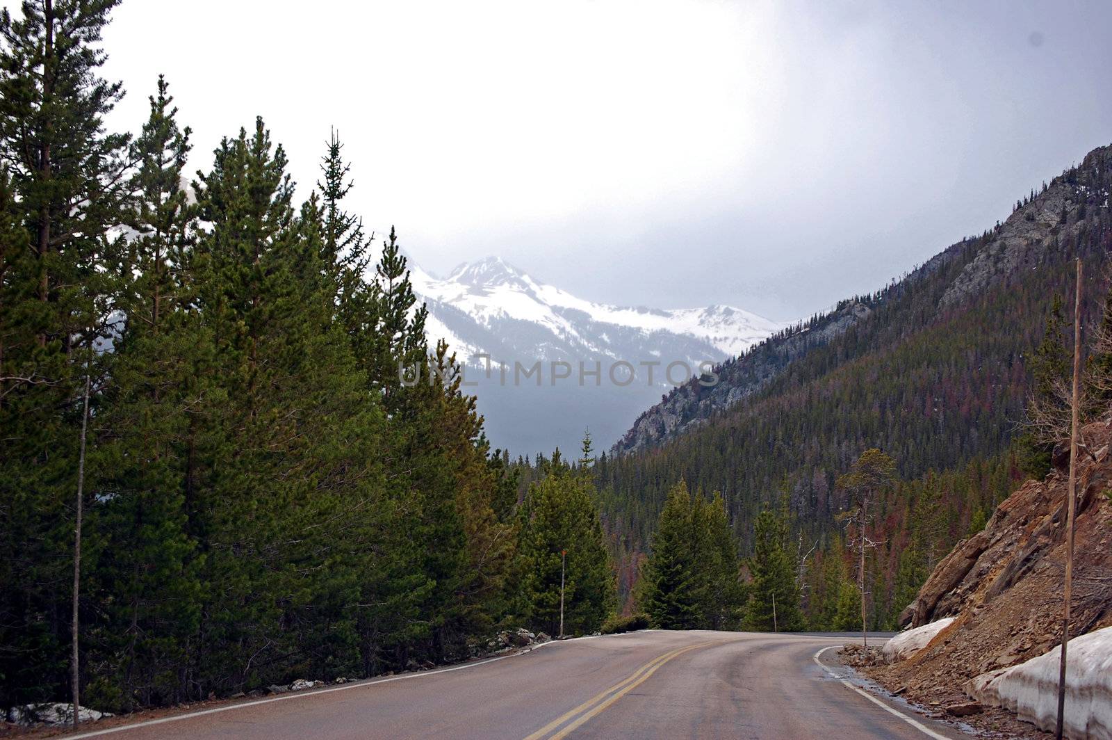 Colorado Mountains by RefocusPhoto