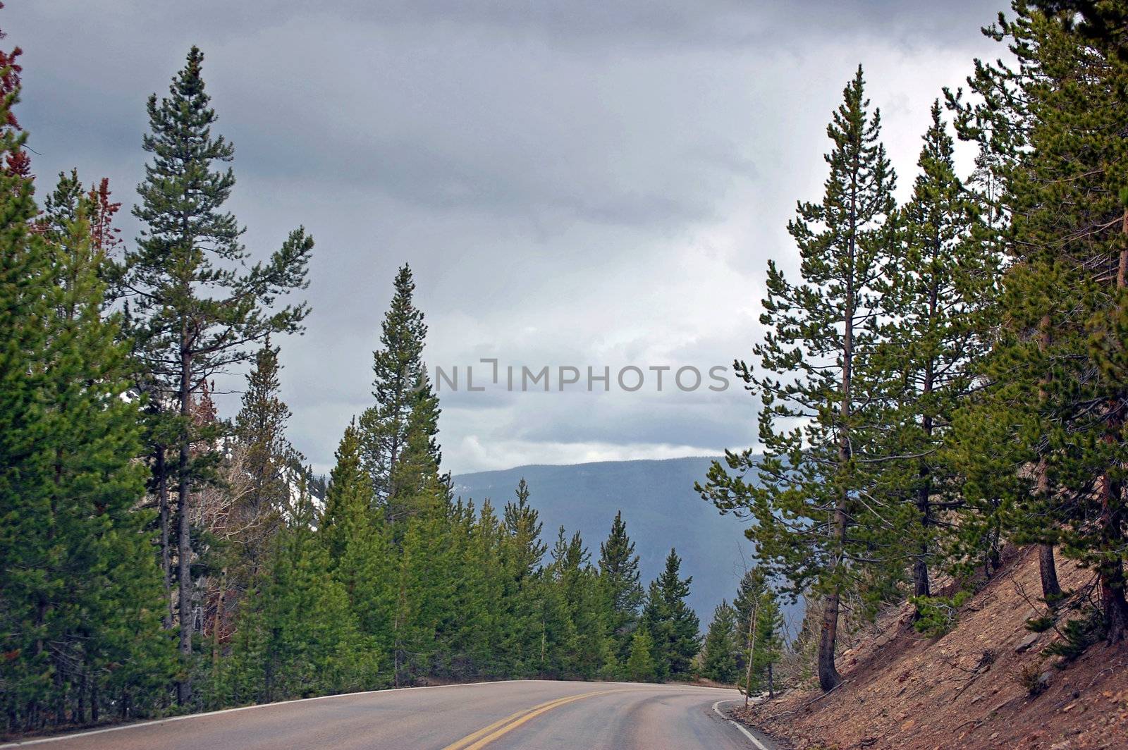 Colorado Mountains by RefocusPhoto