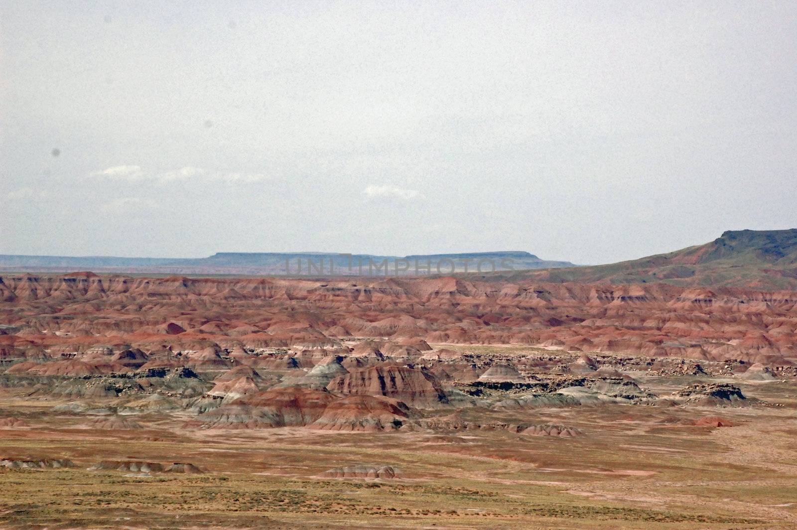 Petrified Forest Landscape - Arizona by RefocusPhoto