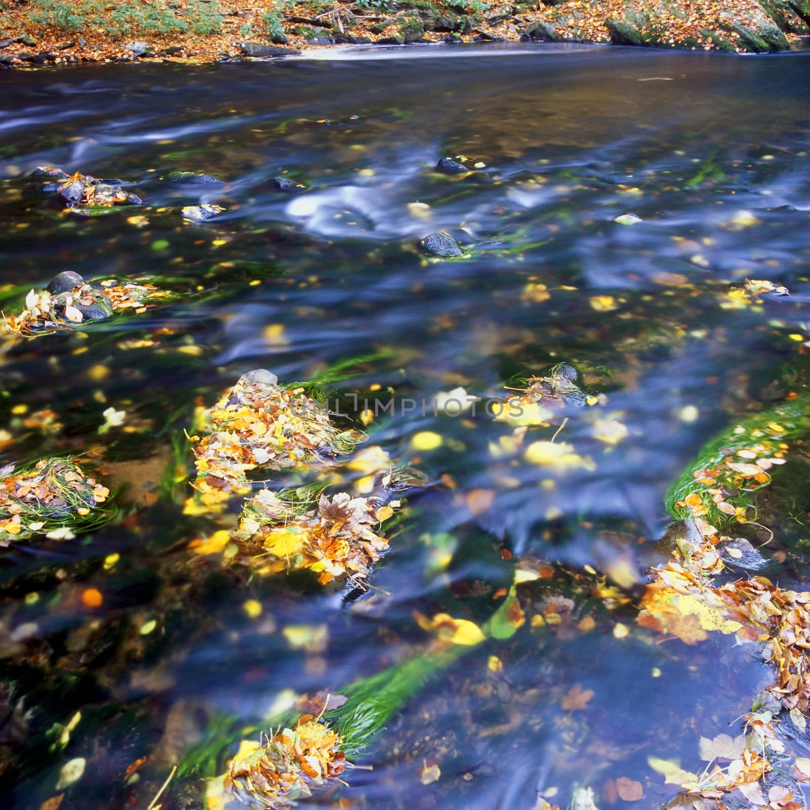 the Metuje river in autumn, Czech Republic