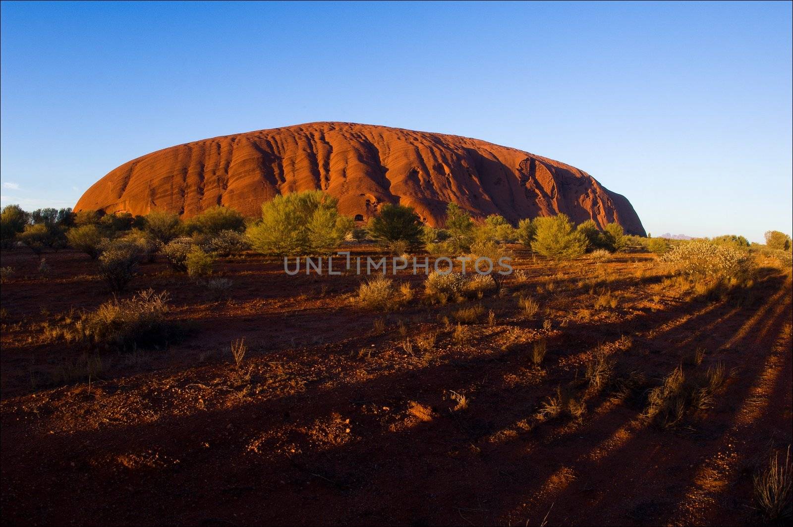 Uluru. A monolith of Uluru on rising in bright orange beams of the sun, long shades.